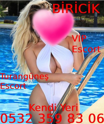 Bu şehrin en ateşli Ankara escort bayanı Biricik